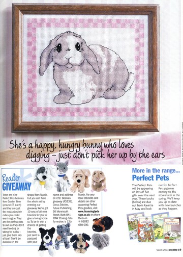 19 - Perfect Pets - Rosie the Rabbit
