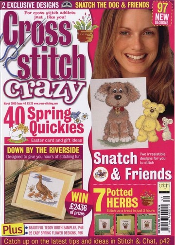 CSCIssue4401