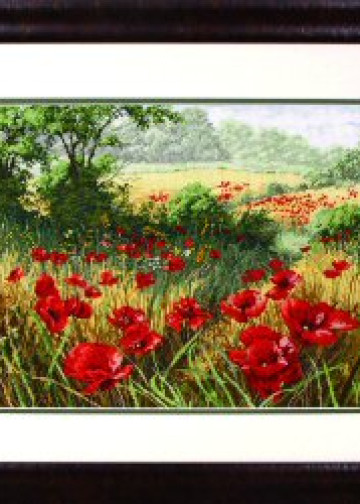 A Host of poppies - pic