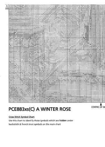 A Winter Rose - 3