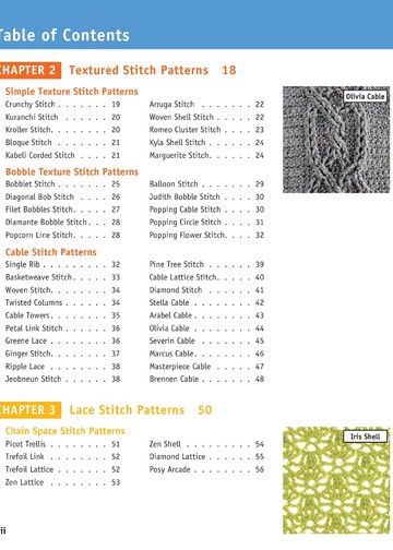 Chachula Robyn - Crochet Stitches VISUAL Encyclopedia - 2011_00010