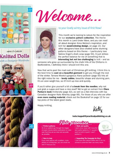 Knit Now 83 2018_00003