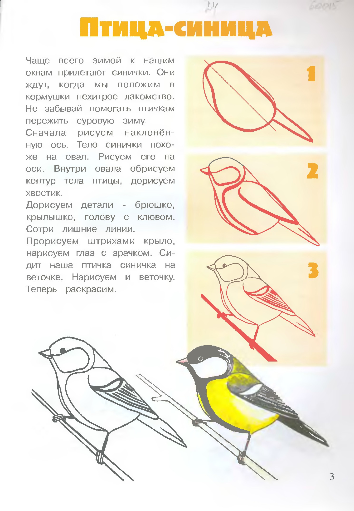 Синичка для рисования для детей. Поэтапное рисование птицы синицы. Поэтапное рисование синицы для детей. Птица синица рисунок поэтапно. Последовательность рисования синички для детей.