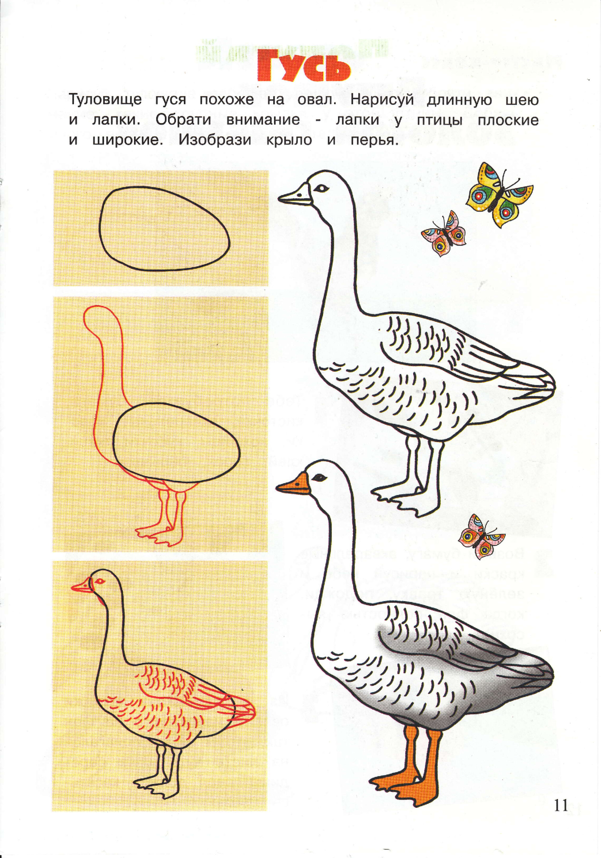Нарисовать гуся карандашом. Рисование домашние птицы. Гусь рисунок. Поэтапное рисование домашней птицы. Домашние птицы для детей рисование.