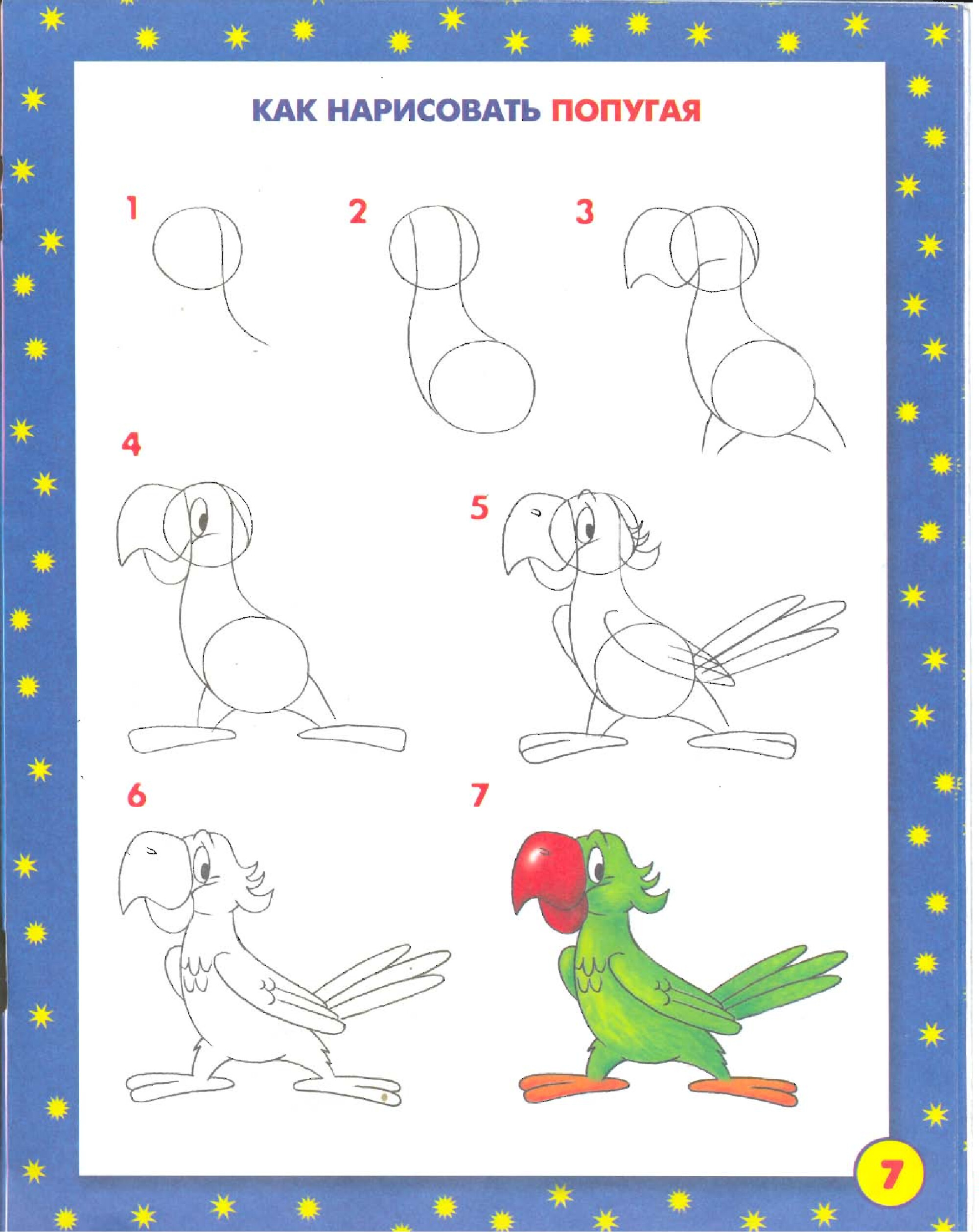 Учимся рисовать уроки. Поэтапное рисование. Поэтапное рисование для детей. Рисунки для начинающих. Схема рисования животных для детей.