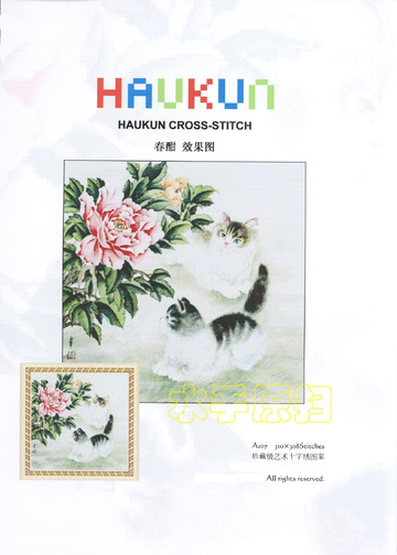 Copy of Haukun _ Cats