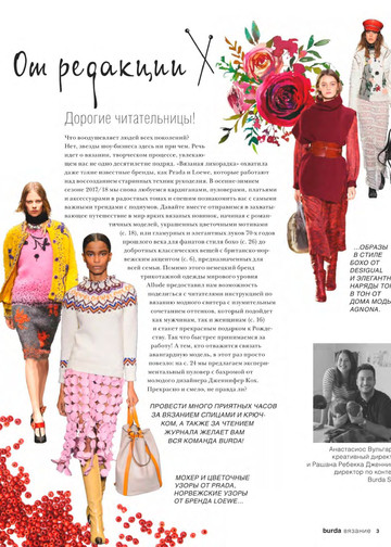 Burda special. 2017.06 Вязание-3