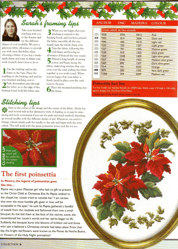 Cross Stitch Collection Issue 85 14