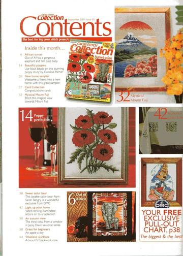 Cross Stitch Collection Issue 95 02