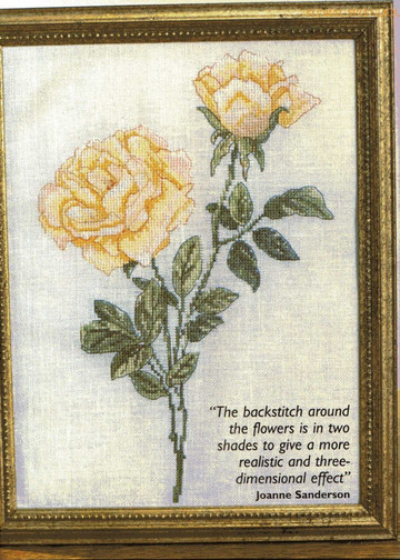 Cross Stitch Collection Issue 96 07