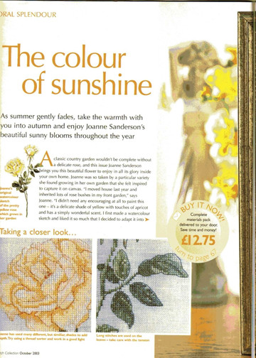 Cross Stitch Collection Issue 96 06