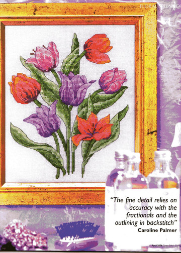 Cross Stitch Collection Issue 103 05