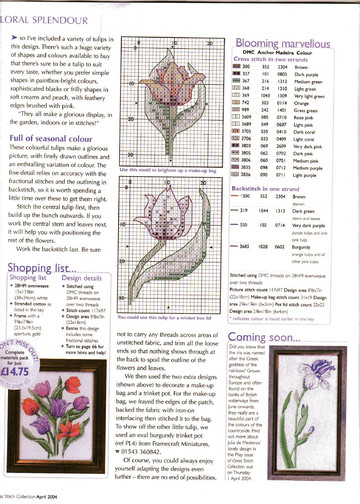 Cross Stitch Collection Issue 103 06