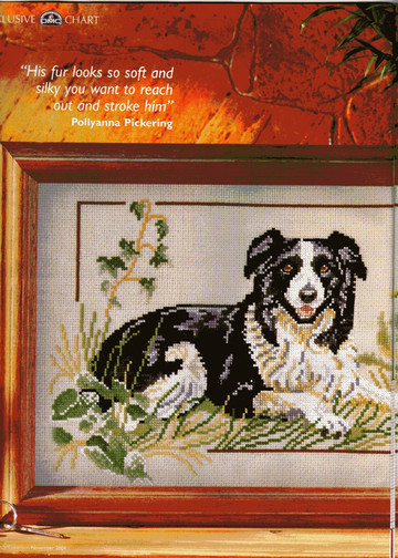 Cross Stitch Collection Issue 110 12