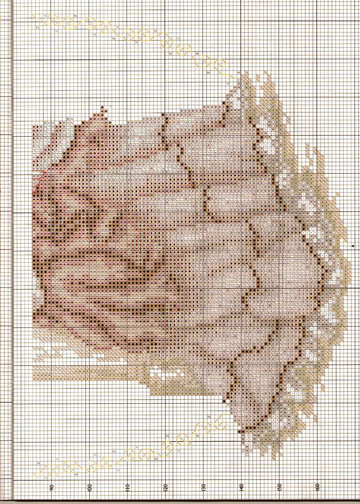 Cross Stitch Collection issue 129 07