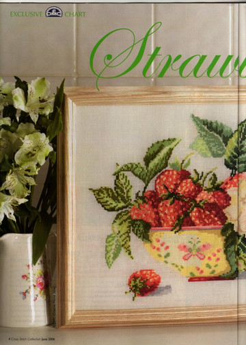Cross Stitch Collection Issue 131 005