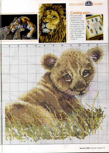 Cross Stitch Collection Issue 135 17