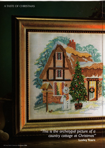 Cross Stitch Collection Issue 138 004