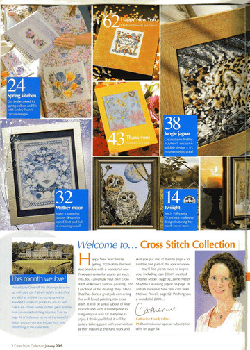 cross stitch collection 166 2009.01 02
