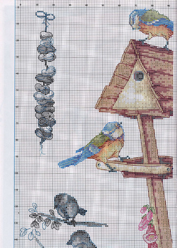 Bird Watching Pattern Pg 1