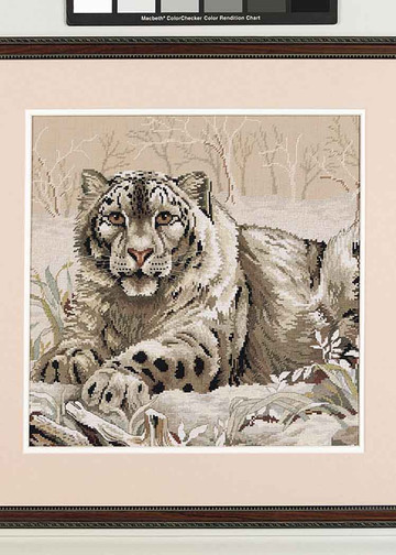 DIM_03835_The_Snow_Leopard