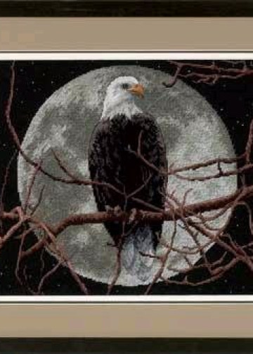 Eagle in Moonlight