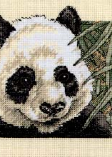 Panda Delight - Dimensions #6784