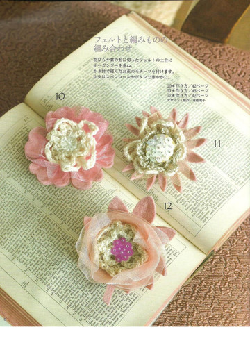 LBS 2624 Stylish Corsages 2007-8
