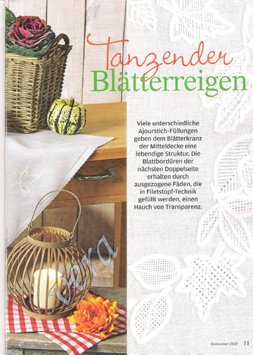 Bild 007 008
