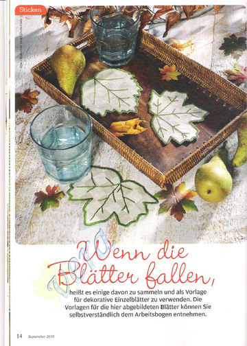 Bild 007 011