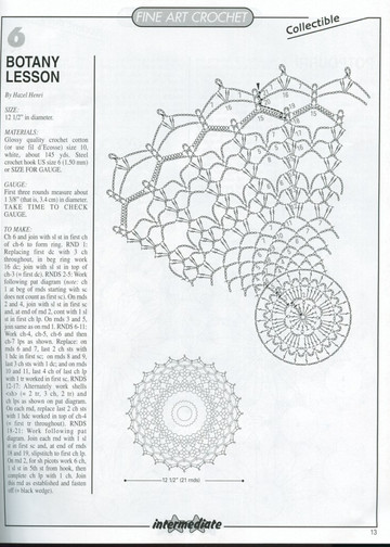 (13)