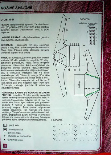 Mezginiu pasaulis 2006-09 Sutik Pavasari-2