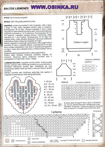 Mezginiu pasaulis 2008-07 liemenes specialus numeris-6