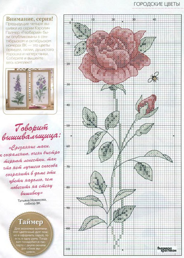 CrossStitcher_12(22)_2006_1-6