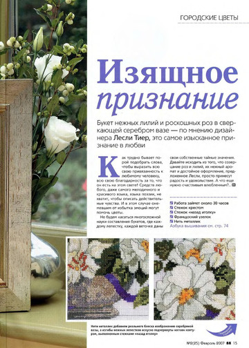 CrossStitcher_02(25)_2007_1-11