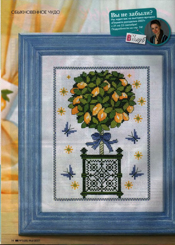 CrossStitcher_05(28)_2007_1-12