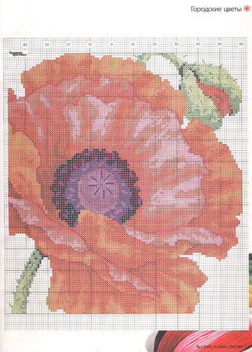 006