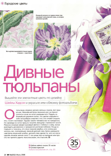 CrossStitcher_06(42)_2008_1-10