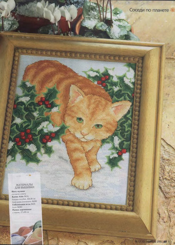 CrossStitcher_12(35)_2007_1-7