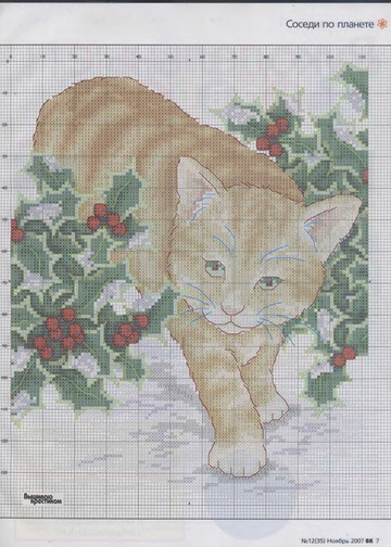 CrossStitcher_12(35)_2007_1-9