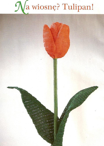 skanuj0002