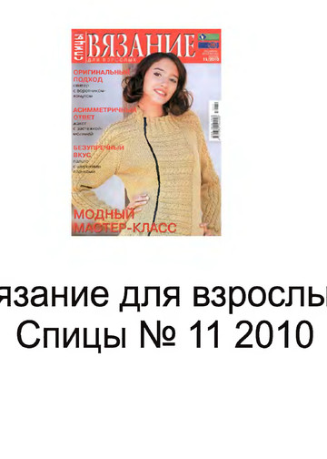 2010 - 11 спицы-1