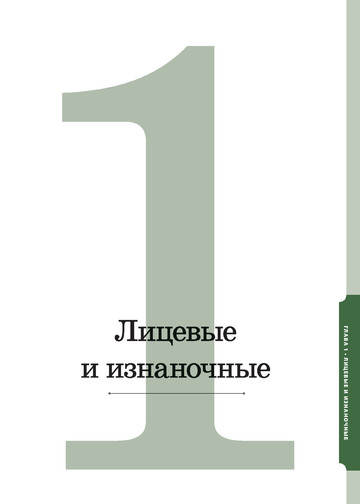 800 + узоров для вязания на спицах (Подарочные издания. Рукоделие. Энциклопедии) - 2022-8