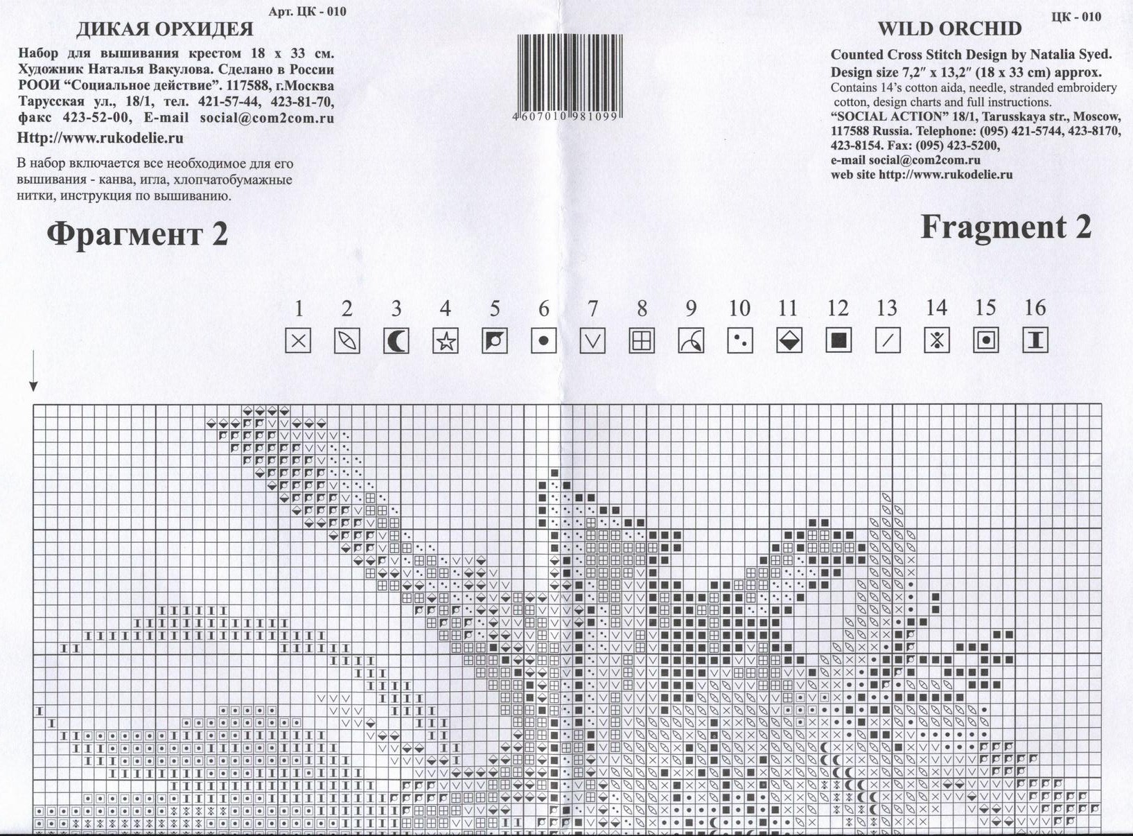 красивые фото цветов ирисовая орхидея. кроссворд сложный. кроссворды для взрослых легкие. орхидея дикий белый. дикая орхидея цветок.