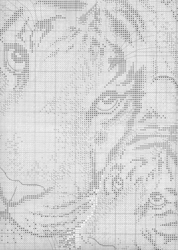 Tiger an Cub 5