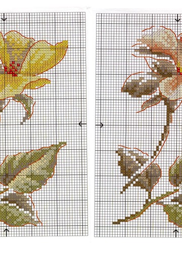 Rose et Clematite_14296 22 b