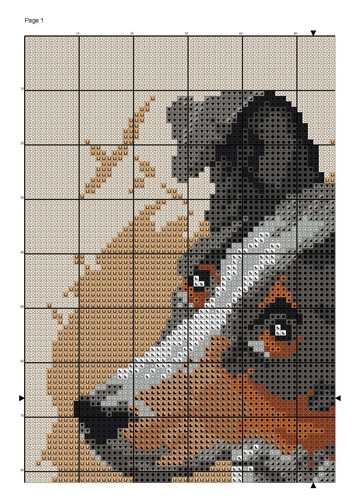 437 ac_Page_2