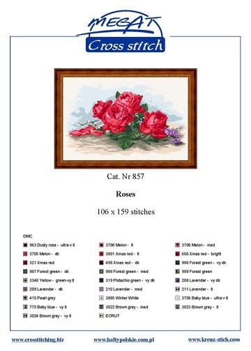857 ac_Page_1
