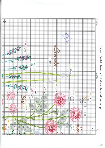 DMC - BK 007 - Pressed Wild Flowers (2)