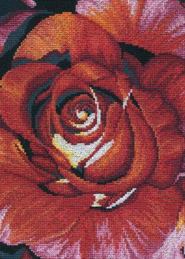 _DMC_BK126_Spanish_rose
